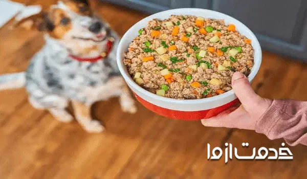 بهترین غذای سگ با سویا
