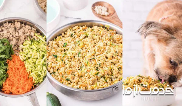 ارزش غذایی سویا برای سگ