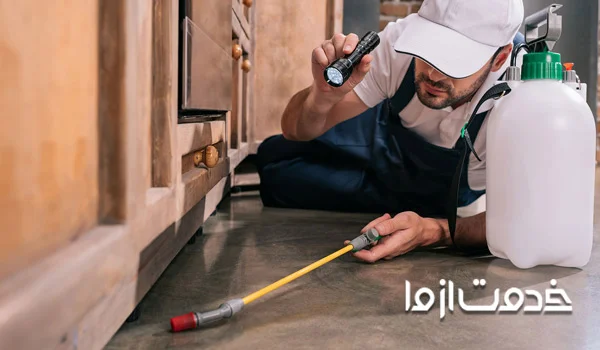 سمپاشی خانه برای مارمولک