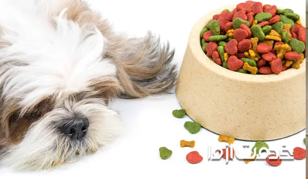 غذای توله سگ شیتزو از دو سالگی