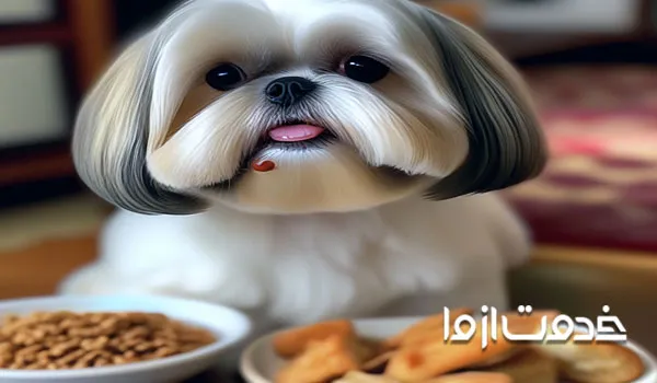 غذاهای مفید برای سگ شیتزو