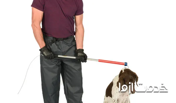 مراحل گرفتن سگ