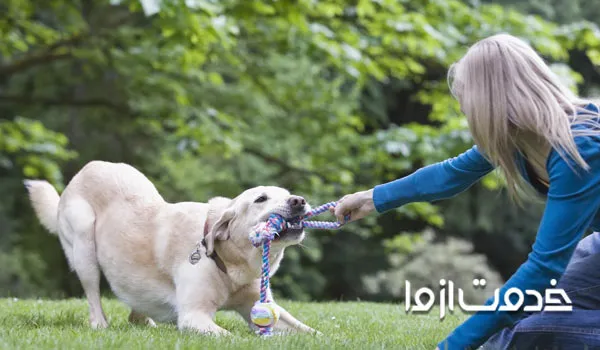 انواع بازی با سگ
