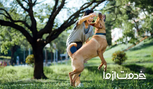 نکات مهم بازی با سگ