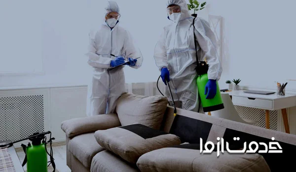 سمپاشی مارمولک خانگی