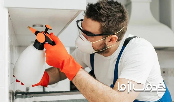 سمپاشی مارمولک