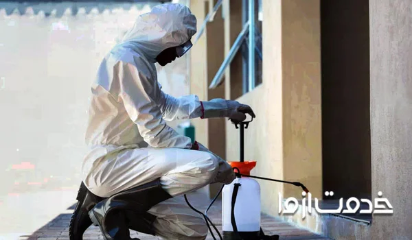 سمپاشی مارمولک در خانه