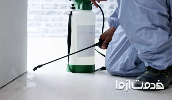 راهکار حرفه ای برای دفع مارمولک از خانه