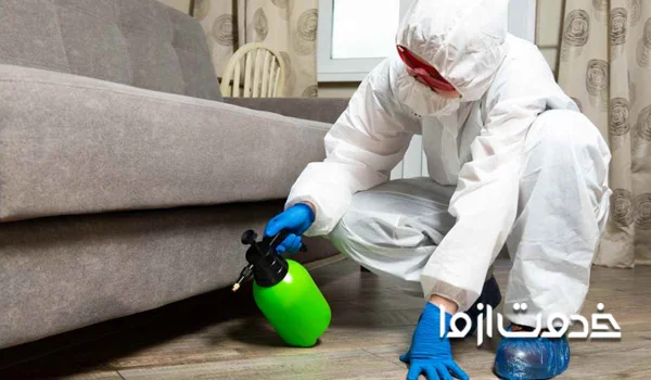 سم پاشی منزل برای مارمولک