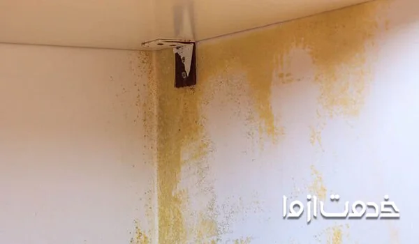 علت وجود لکه زرد روی دیوار 