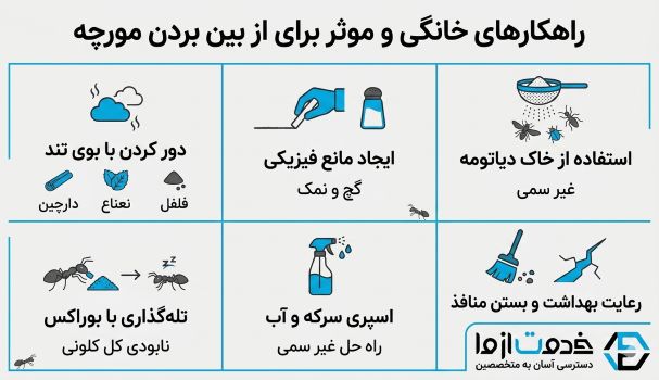 اینفوگرافیک از بین بردن مورچه در خانه