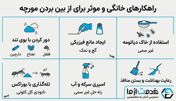 اینفوگرافیک از بین بردن مورچه در خانه