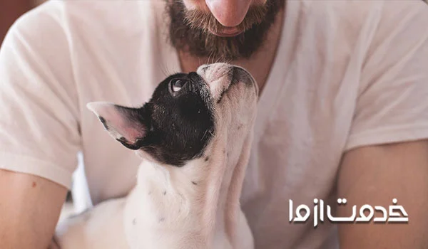 نحوه آموزش اسم سگ