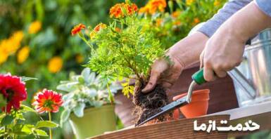 خدمات باغبانی در تهران