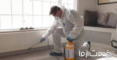 10 روش برای از بین بردن کک در منزل