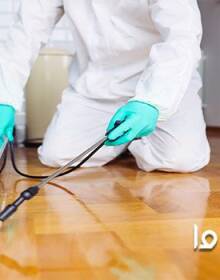 راه حل‌های سریع برای از بین بردن موریانه در خانه