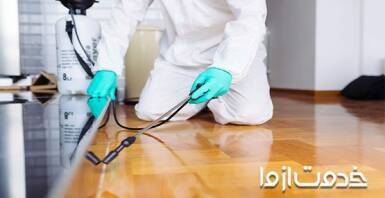 راه حل‌های سریع برای از بین بردن موریانه در خانه