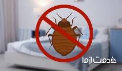 25 راه ساده برای از بین بردن ساس