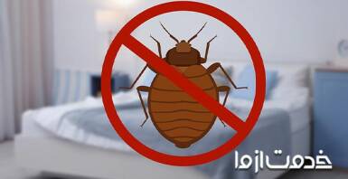 25 راه ساده برای از بین بردن ساس