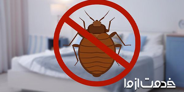 25 راه ساده برای از بین بردن ساس