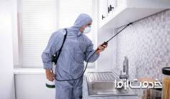 سمپاشی سوسک ریز آشپزخانه