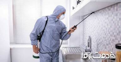 سمپاشی سوسک ریز آشپزخانه