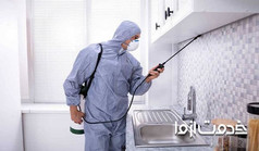 سمپاشی سوسک ریز آشپزخانه