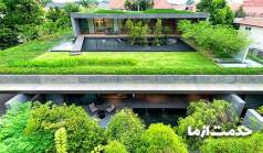 باغبانی در پشت بام