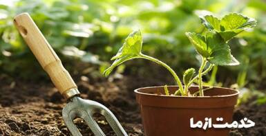 خدمات باغبانی در منزل