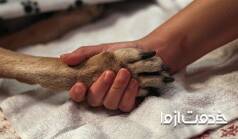 اتانازی یا یوتانایز حیوانات چیست؟