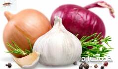 سوسک‌ها از چه چیزی بدشان می‌آید؟