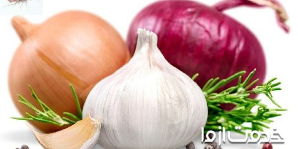 سوسک‌ها از چه چیزی بدشان می‌آید؟
