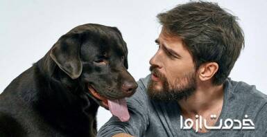 چگونه با سگ حرف بزنیم؟