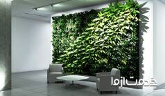 دیوار سبز چست؟