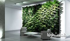 دیوار سبز چست؟