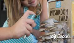 مهم‌ترین نکات پرورش قارچ و آموزش آن