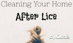 چگونه شپش سر را ریشه کن کنیم؟