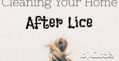 چگونه شپش سر را ریشه کن کنیم؟