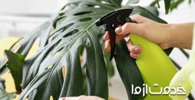 تهیه آفت کش های خانگی