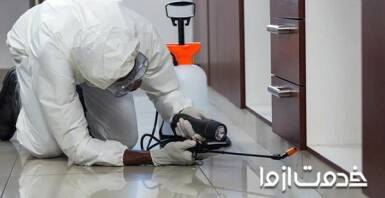 نکات مهم سمپاشی شپش 