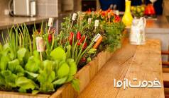 مهم‌ترین نکات سبزی کاری در آپارتمان