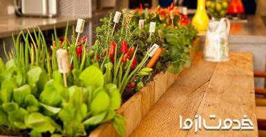 مهم‌ترین نکات سبزی کاری در آپارتمان