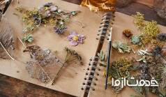  چگونه گل طبیعی را خشک کنیم؟