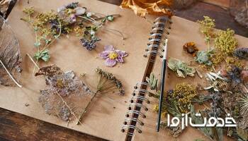 چگونه گل طبیعی را خشک کنیم؟