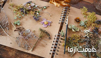  چگونه گل طبیعی را خشک کنیم؟