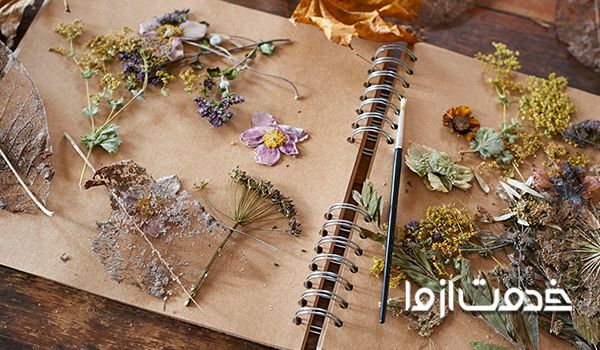  چگونه گل طبیعی را خشک کنیم؟