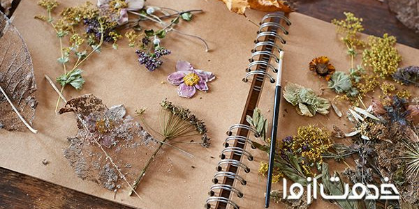  چگونه گل طبیعی را خشک کنیم؟