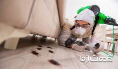 همه چیز درباره ی سمپاشی سوسک