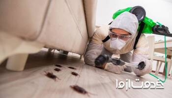 همه چیز درباره ی سمپاشی سوسک