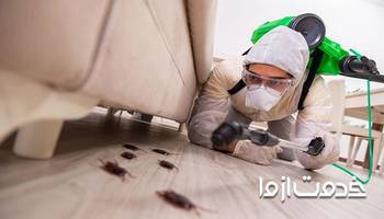 همه چیز درباره ی سمپاشی سوسک